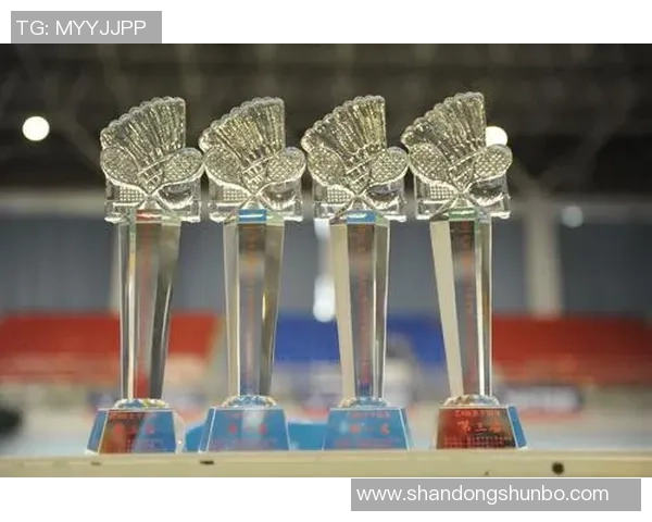 武汉羽毛球队与西安羽毛球队实力对比赛后分析与总结